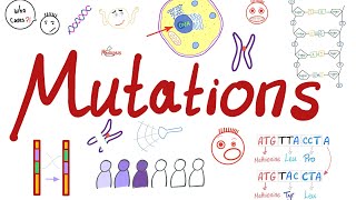 Types of Mutations  Changes in the Gene Pool  Genetic Drift  Biology 🧬 [upl. by Adanama]