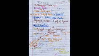 Energetics and Regulation of Glycolysis and TCA cycle [upl. by Noelle]