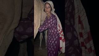 Desert life traditional camel milk villagelife india [upl. by Je]