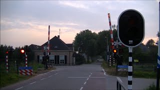 Spoorwegovergang Lierderholthuis  Dutch railroad crossing [upl. by Wheelwright672]