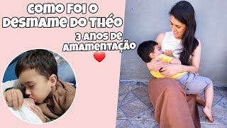 COMO FOI O DESMAME DO THÉO  3 ANOS DE AMAMENTAÇÃO  DICA PARA O DESMAME [upl. by Ihcalam]