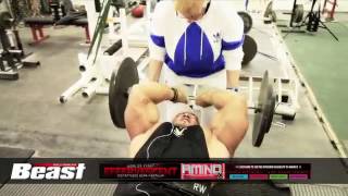 Triceps Workout Roelly Winklaar Beast Routines [upl. by Odlanar]