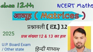 Class 12 maths chapter 3 matrices exercise 32 questions 12 and 13 solution [upl. by Leirbaj]