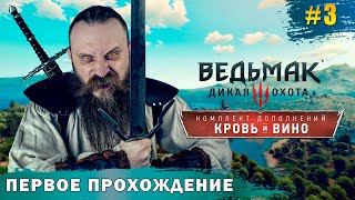 Ах Туссент Край вина вина вина и монстров  пьем и бьем Ведьмак 3 Кровь и Вино часть 3 [upl. by Charpentier758]