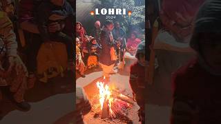 Lohri Utsav 2024 🔥🪷 lohri lohri2024 shorts nareshbhaiyaji punjabi [upl. by Aryam]