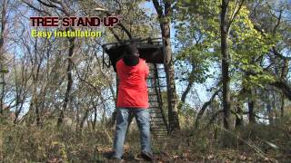 Tree Stand Up [upl. by Whyte]