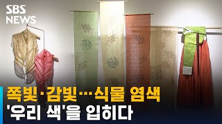 쪽빛·감빛…식물 염색으로 우리 색을 입히다  SBS [upl. by Moyna]