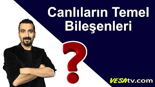 CANLILARIN TEMEL BİLEŞENLERİ  Sıfırdan Full Tyt Biyoloji [upl. by Ennayllek377]