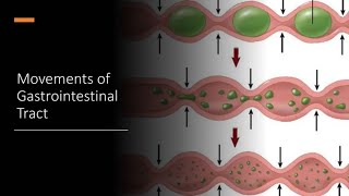 MOVEMENTS OF GASTRO INTESTINAL TRACT  PHYSIOLOGY  NOTES  MBBS  BAMS  BHMS  BDS [upl. by Rebmyk]