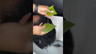 Fresh Aloe Vera Mask on hair  7 days challenge shorts haircare trending [upl. by Nauqet]