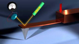 Virus Nanoindentation by AFM [upl. by Allemat]