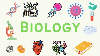 12 A Level Biology  Selection and Evolution 🐒 [upl. by Lanti963]