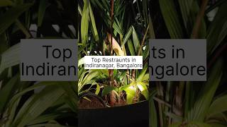 Indulge in the Best Top Restaurants in Indiranagar Bangalore shorts [upl. by Mishaan]