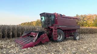 Shelling Corn 2024 [upl. by Aydan393]