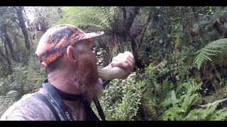 Part 3 quotElusive Bush Bullsquot Fiordland NZ  Wapiti ballot block George river 1st period 2019 [upl. by Nerine17]