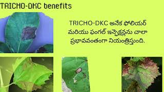 TRICHODKC preparation usage and Benefits in Telugu [upl. by Letnom]