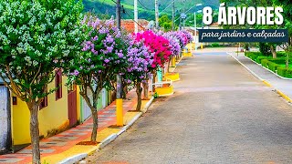 8 ÁRVORES NATIVAS BRASILEIRAS PARA JARDINS E CALÇADAS [upl. by Franklyn]