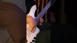 ずっと真夜中でいいのに  お勉強しといてよ Bass Cover Short 08 bass basssolo ベース [upl. by Anurag532]