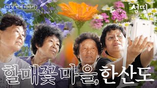 할매꽃 피는 마을 한산도  섬띵스페셜 EP05 [upl. by Ayocal]