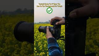 Creative Photography Tips amp Tricks With Nikon Z50 nikonz50 photography nature viralshorts [upl. by Ephrem]