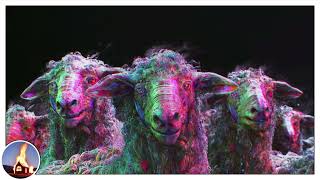 Burn Churches  Do Electric Sheep Bleat When Slaughtered [upl. by Haraj]