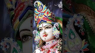 SUNNYLEB whatsApp status bhakti song tranding durga mataranistatus [upl. by Niarfe]