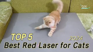 TOP 5 Best Red Laser for Cats 2024 [upl. by Eberhart]