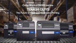 Epson ColorWorks C6000 Series Desktop Colour Label Printers  06s [upl. by Schwartz]