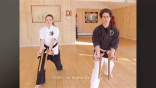 Hamahiga No Tonfa Kata Tricky Section [upl. by Elbart272]