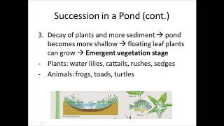 Pond Succession [upl. by Sila]