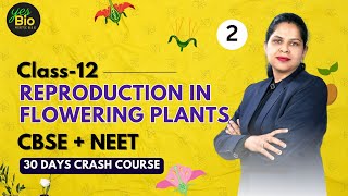 Reproduction in flowering plants ncert cbse neet class11 Biology  part 2 [upl. by Oringa665]