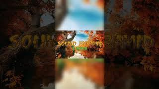 1 Hour  Nomyn  Flow  Ambient  shorts backgroundmusic nomyn freemusic freecopyrightmusic [upl. by Lias]