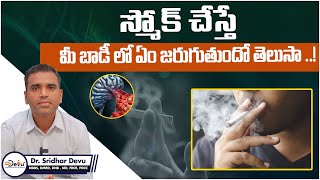 How Smoking Affects Your Body  Side Effects of Smoking Cigarettes in Telugu  Dr Devu [upl. by Lennahs]