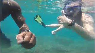 pink beach snorkeling trip in Lombok [upl. by Novikoff420]