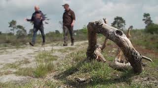 De afwisselende natuur van het Weerterbos  Natuur en Zo [upl. by Venola645]