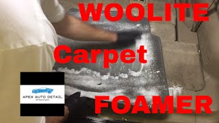 WOOLITE Foam Carpet Cleaner Is it a must Or a BUST [upl. by Stew646]