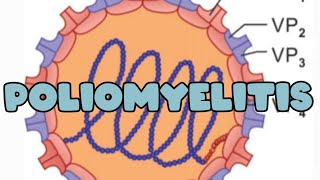 Poliomyelitis I pathogenesis  Lab diagnosis  vaccine [upl. by Kask]