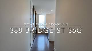 388 Bridge st 36G [upl. by Oigile]