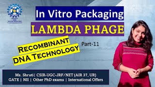 InVitro Packaging Lambda Phage Vector gate csirnetjrf gatb dbt bet biotechnology lifescience [upl. by Atelokin]