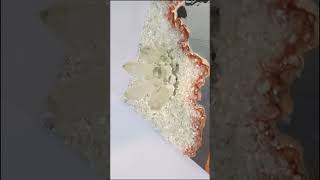 resin geode art full tutorial geodeart jamshedpur indianresinartist diyideas resinartindia [upl. by Lletram633]