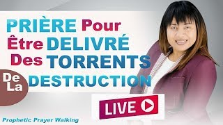 PRIÈRE POUR ÊTRE DÉLIVRÉ DES TORRENTS DE LA DESTRUCTION 2 [upl. by Calisa]