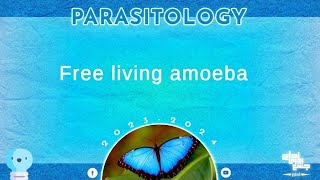 L2 Free living amoeba Naegleria fowleri and Acanthamoeba  Parasitology [upl. by Felicdad]