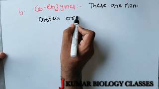 CONJUGATE ENZYME  HOLOENZYME  APOENZYME  COFACTOR INORGANIC GROUP  PROSTHETIC GROUP  CONJUGAT [upl. by Eidson]