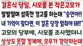 반전신청사연결혼식 당일 시모를 본 작은고모가 자꾸 이상한 말을 하는데 quot승연아 내 기억이 맞다면 이결혼 당장 멈춰야 돼quot고모의 경고에 시모를신청사연사이다썰사연라디오 [upl. by Ahc602]