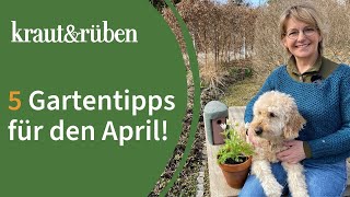 Gartenkalender 5 Tipps für den April [upl. by Mori213]