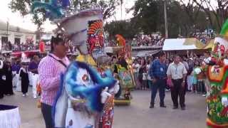 Encuentro Cultural 2013  Comparsa de Yautepec [upl. by Rodmur]