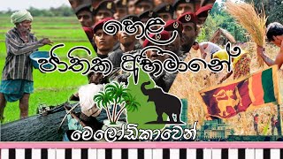 හෙළ ජාතික අභිමානේමෙලෝඩිකාවෙන්🎹🎶 Hela Jathika Abhimane Song Chords [upl. by Eilesor]