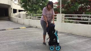 R for Rabbit Poppins Stroller  Real Moms Real Reviews [upl. by Droffats]