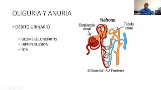 TELECAPACITACIÓN INJURIA RENAL AGUDA DR WESLEY ROMAN CIEZA [upl. by Orapma]