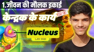 कक्षा 9 विज्ञान अध्याय 5 जीवन की मौलिक इकाई भाग13  केन्द्रक के कार्य kendrak nucleus amleshsir [upl. by Berneta497]